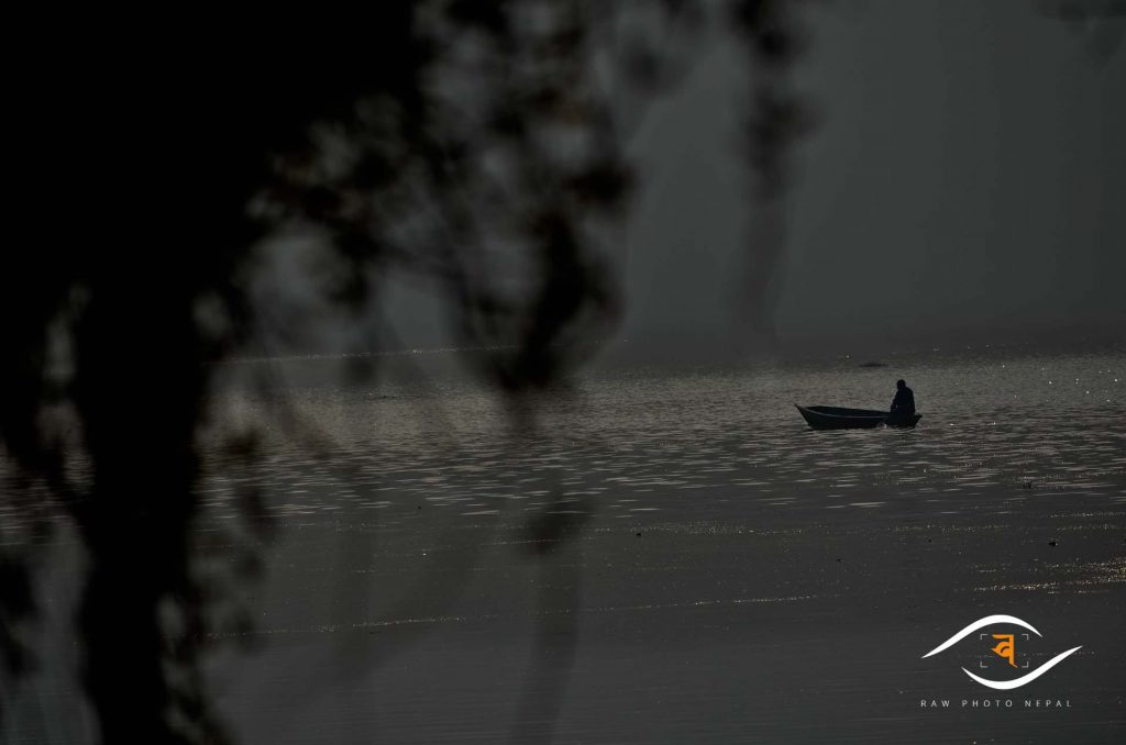 Boatman phewa lake