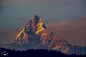 machhapurche